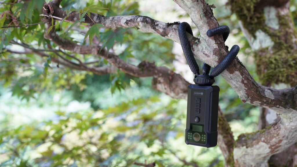 三脚でカメラを木に固定